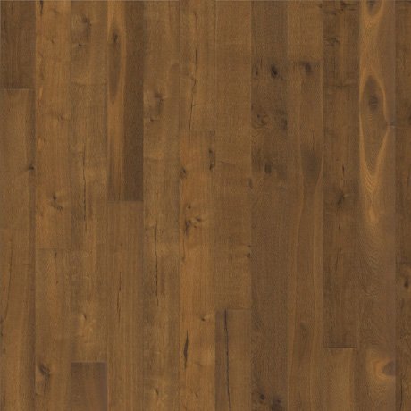 Country-Sortierungsbilder-Palasteiche-460-x-460