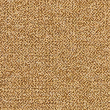 cabana-Concept-Part-2,-20191-460×460